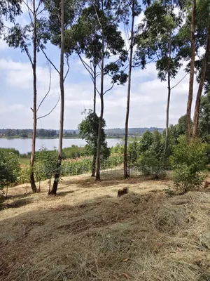 2 Acres Land for Sale in Kamangu