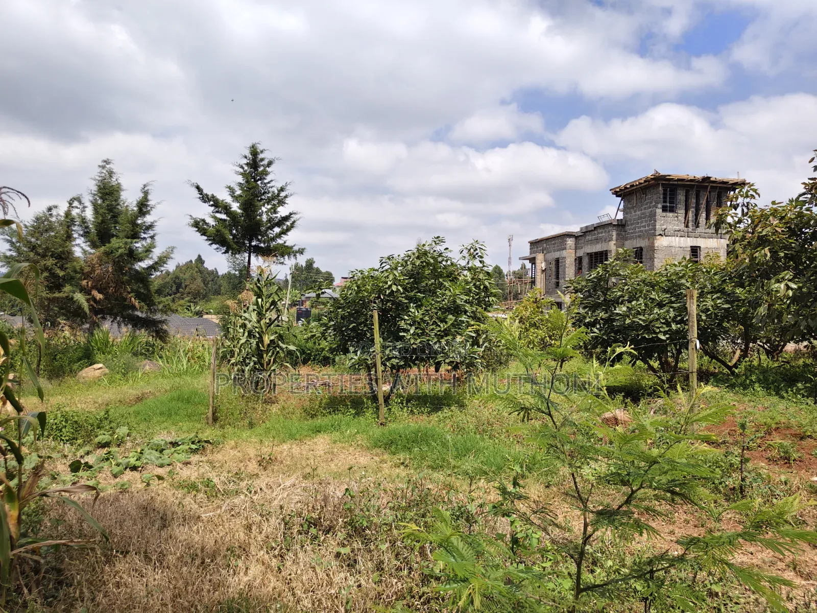 2 Acres Land for Sale in Kamangu