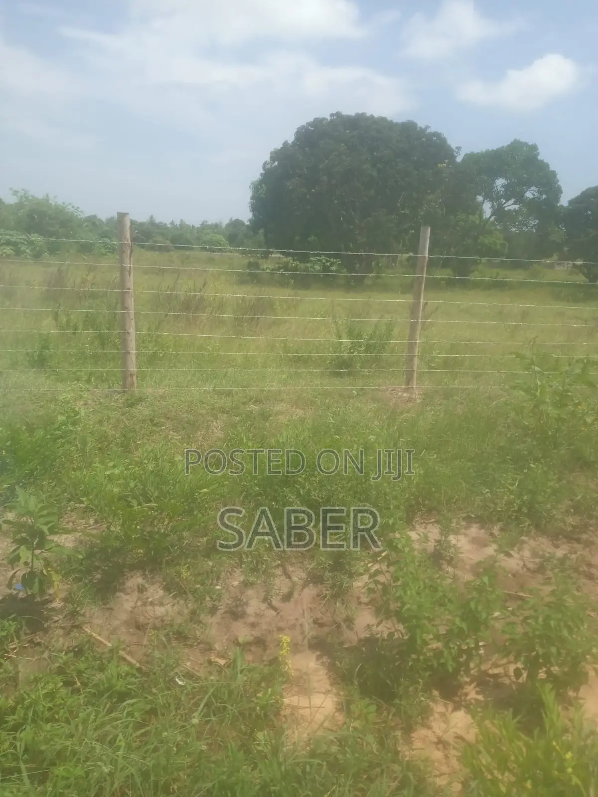 Farm for Sale in Mabokoni Ukunda