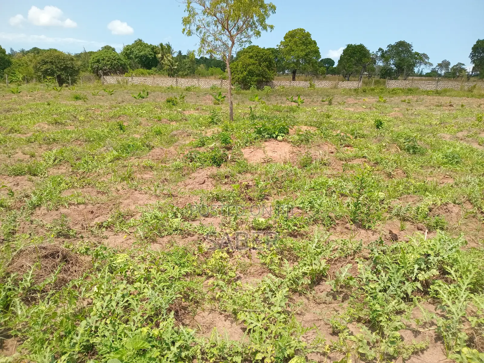 Farm for Sale in Mabokoni Ukunda