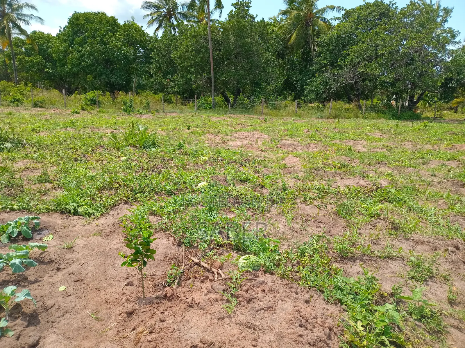 Farm for Sale in Mabokoni Ukunda