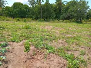 Farm for Sale in Mabokoni Ukunda