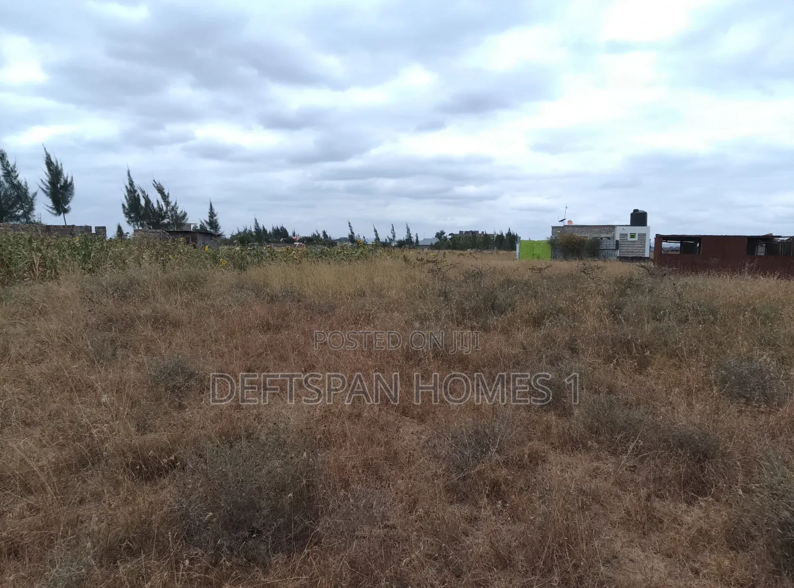 50 by 100 Plot Selling at Kantafu