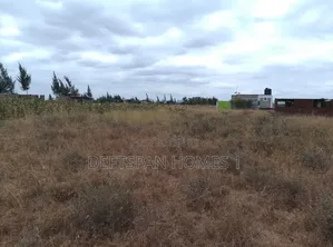 50 by 100 Plot Selling at Kantafu
