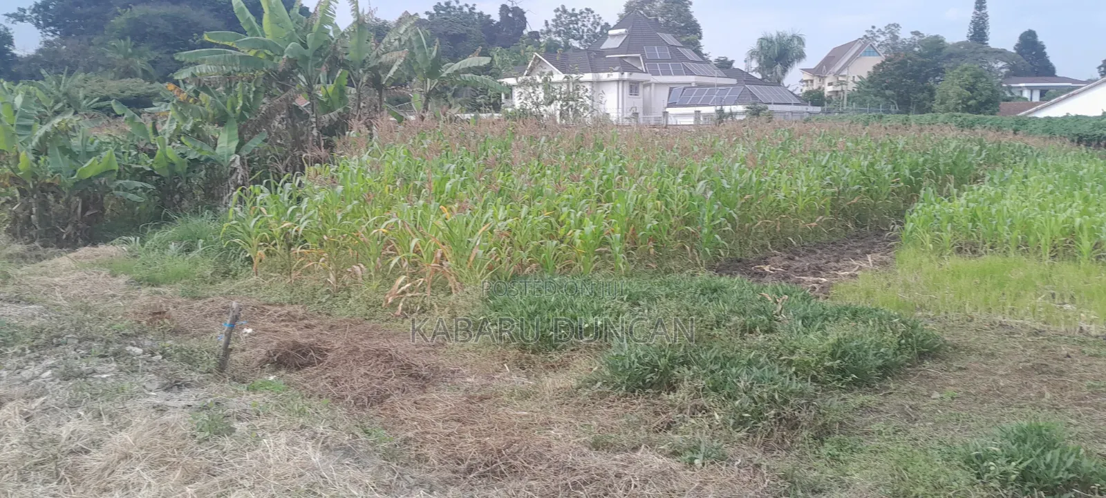 1/2acre Prime Residential Plot for Quick Sale