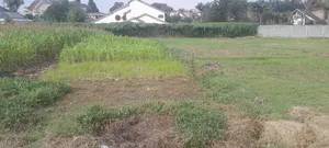 1/2acre Prime Residential Plot for Quick Sale