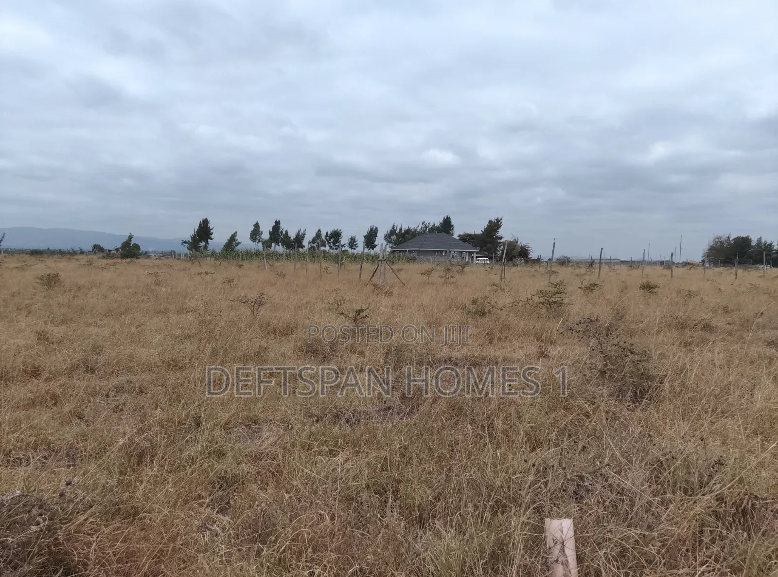 50 by 100 Plot Selling at Kantafu