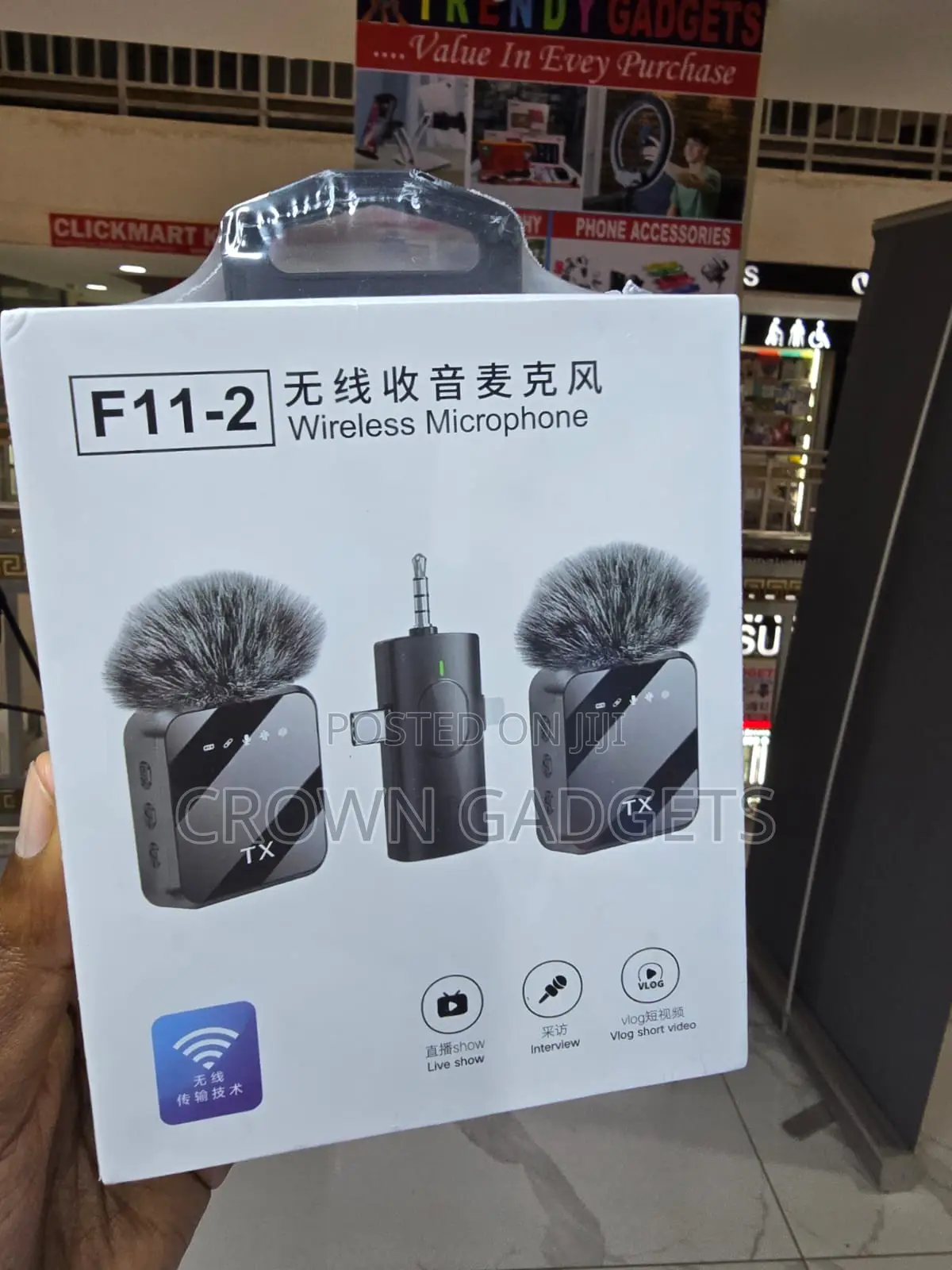 F11-2 Wireless Microphone, Dual Wireless Microphone,