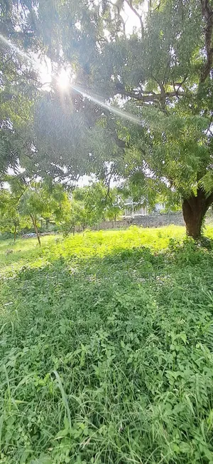 For Sale 1 Acre Prime Plot Diani