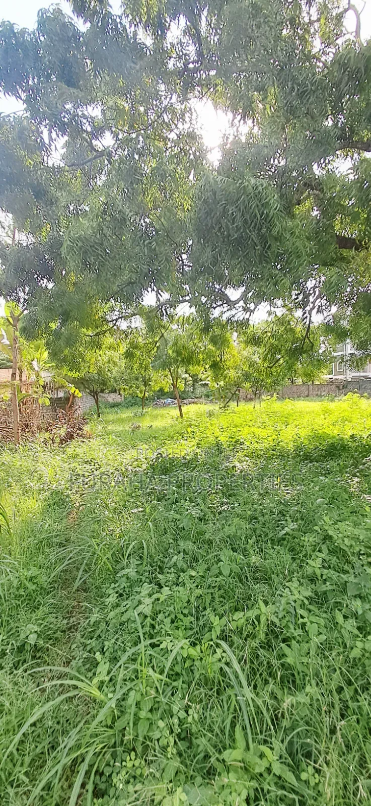 For Sale 1 Acre Prime Plot Diani