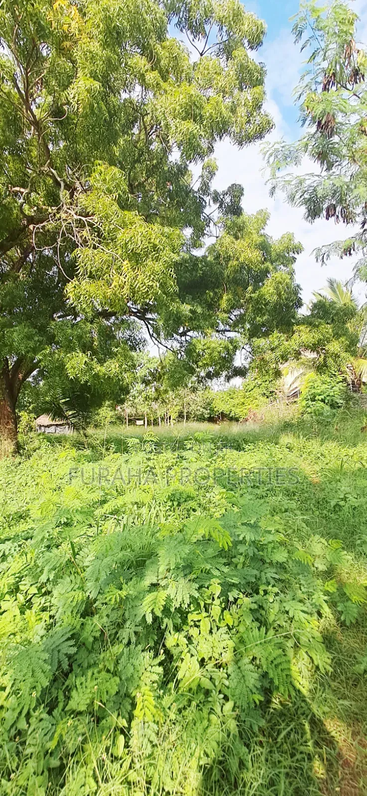For Sale 1 Acre Prime Plot Diani