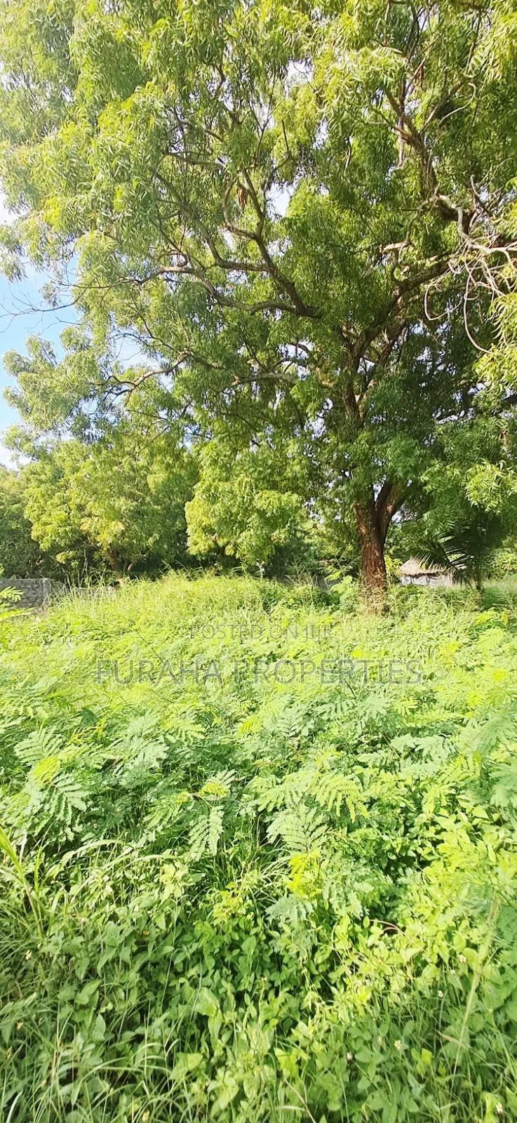 For Sale 1 Acre Prime Plot Diani