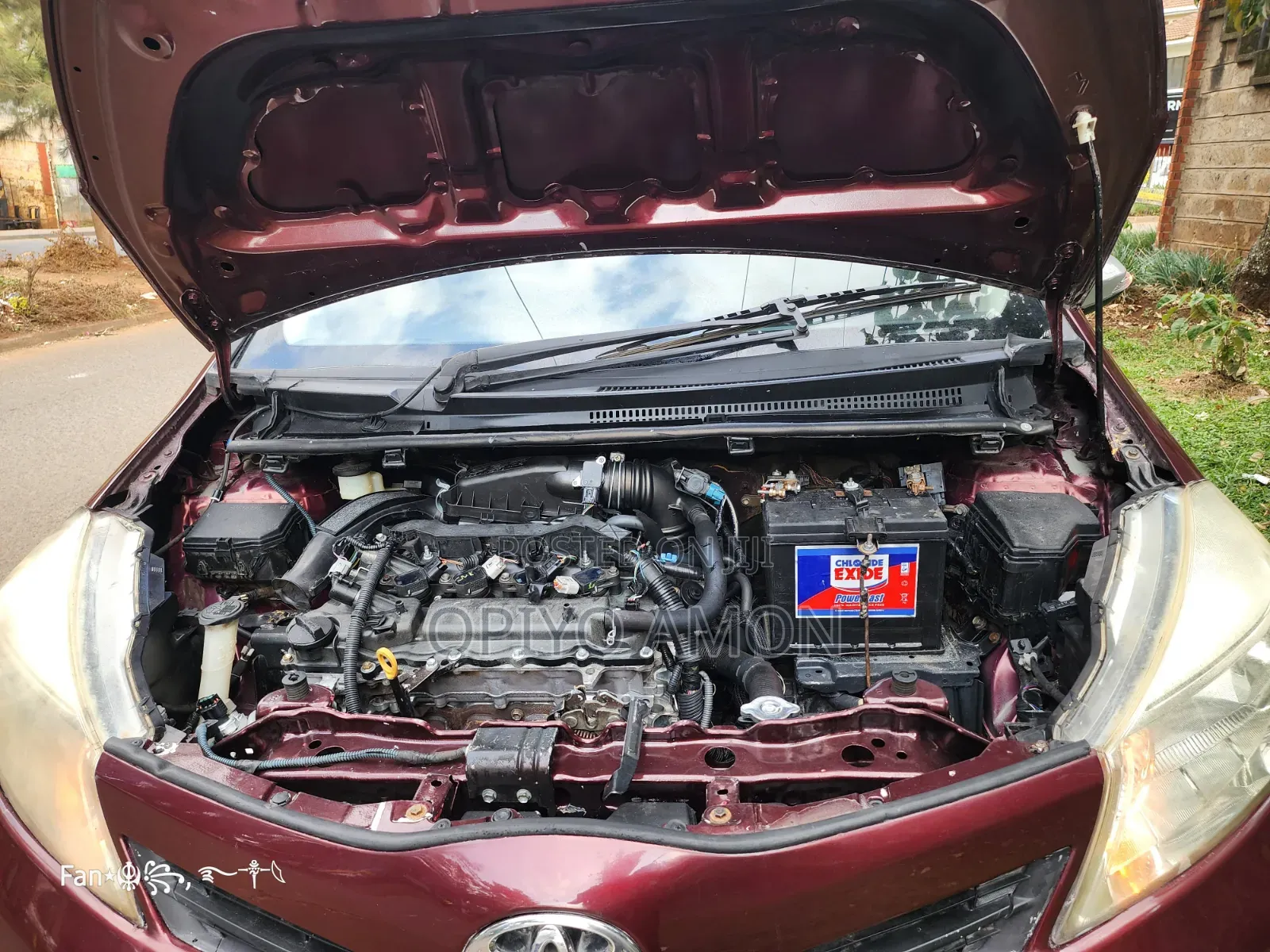 Toyota Vitz 2012 Maroon