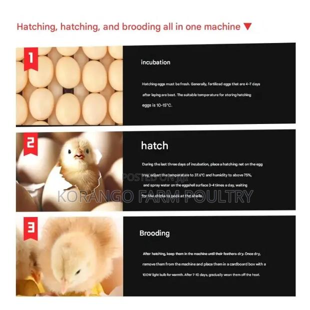 Drawer Type Automatic Eggs Incubator - thumbnail 3