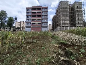 Quarter Acre for Sale in Kinoo Kiambu County.