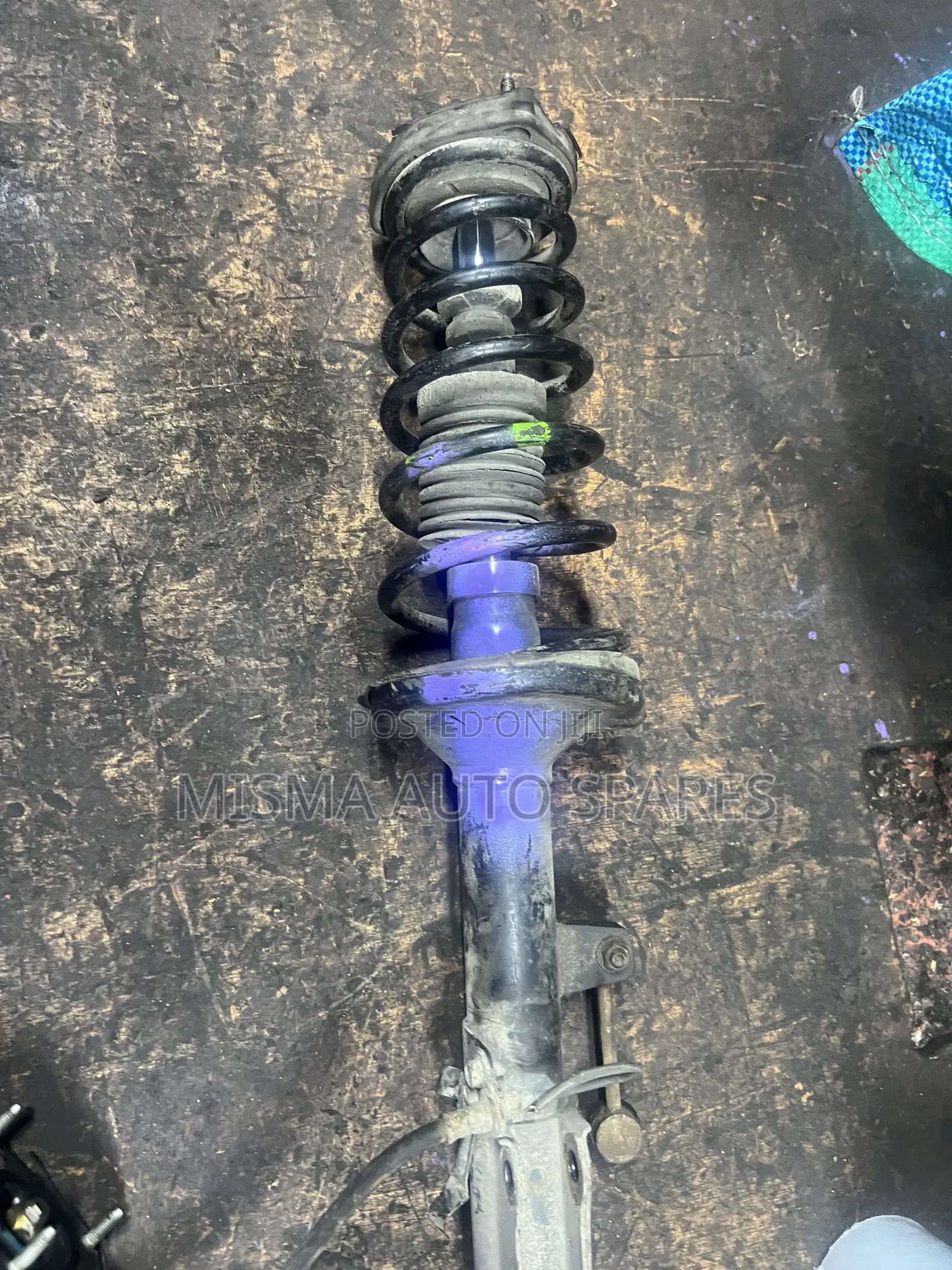 Rear Shocks Premio Nyoka