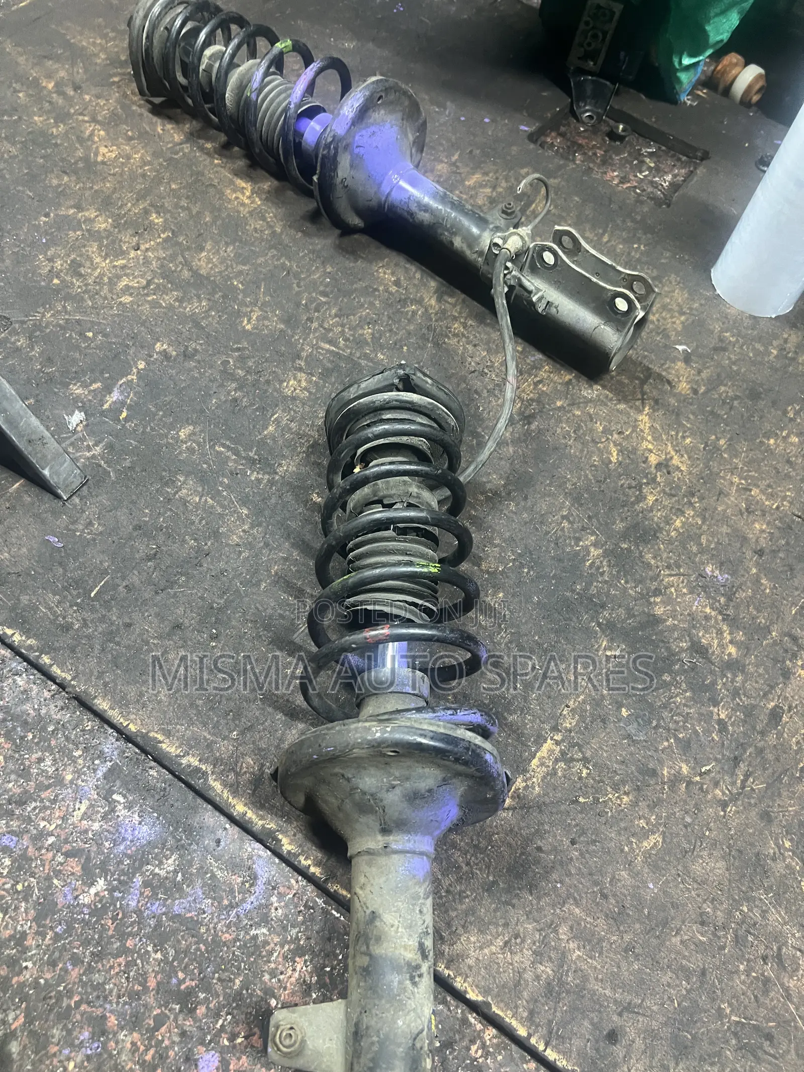 Rear Shocks Premio Nyoka
