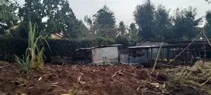 0.5 at Prime Residential Plot