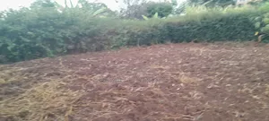 0.5 at Prime Residential Plot