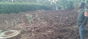0.5 at Prime Residential Plot