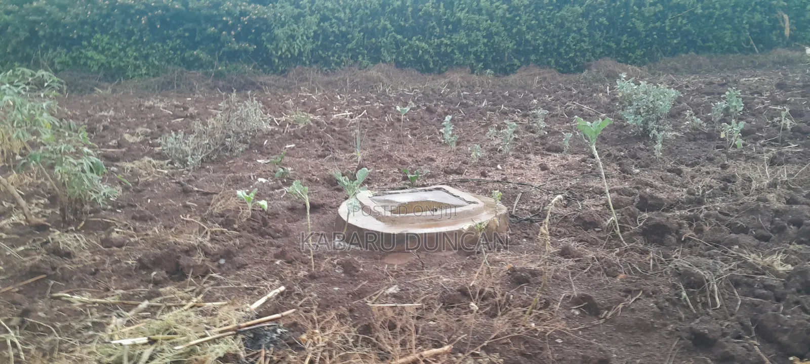 0.5 at Prime Residential Plot