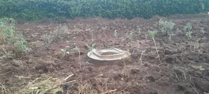0.5 at Prime Residential Plot