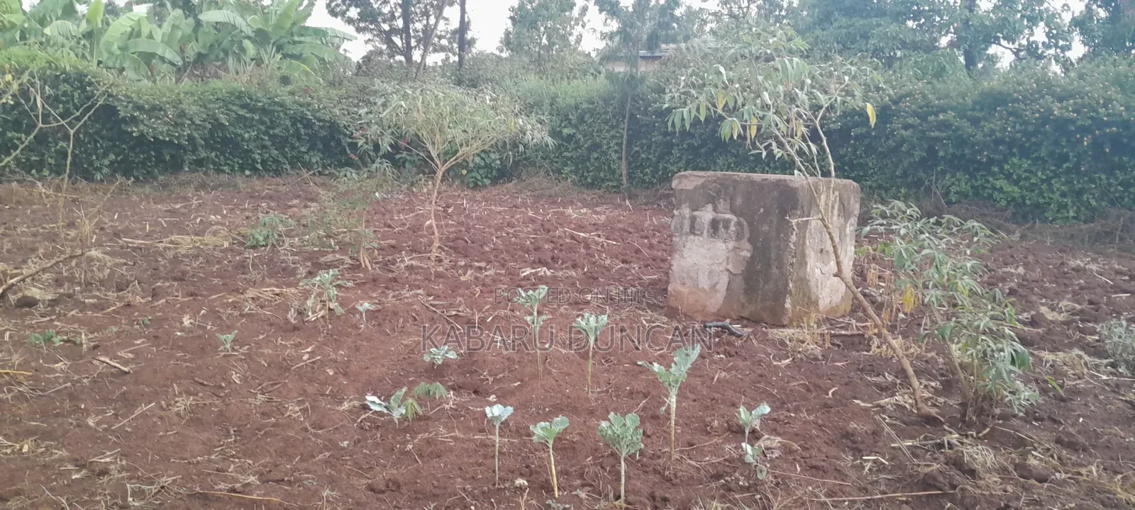 0.5 at Prime Residential Plot