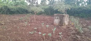 0.5 at Prime Residential Plot