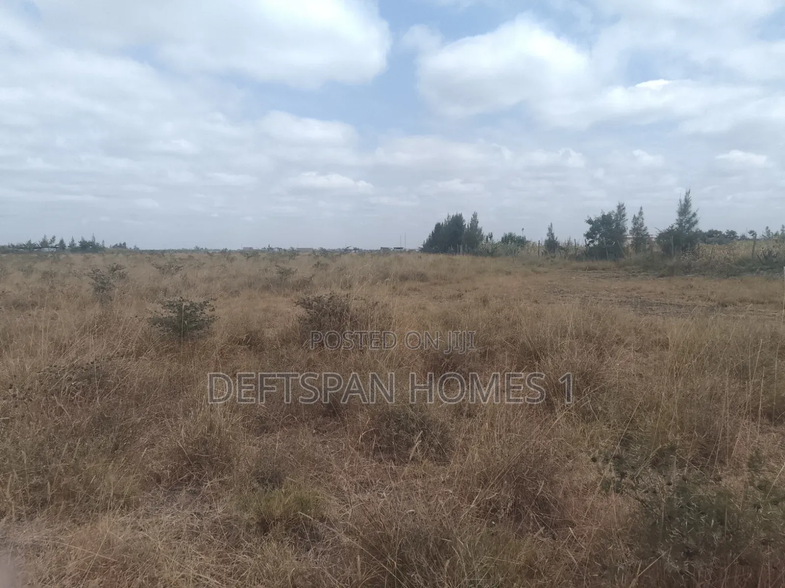 1acre Land Land Km From the Main