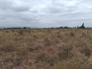 1acre Land Land Km From the Main