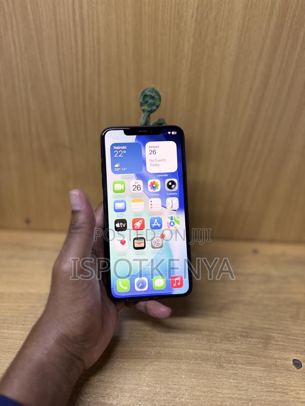 Apple iPhone 11 Pro Max 256 GB Gray