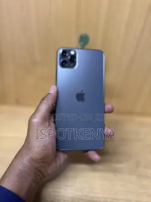 Apple iPhone 11 Pro Max 256 GB Gray