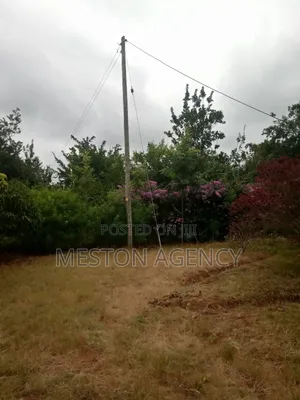 1/2 Acre at Embu Kanyariri Quick Sale
