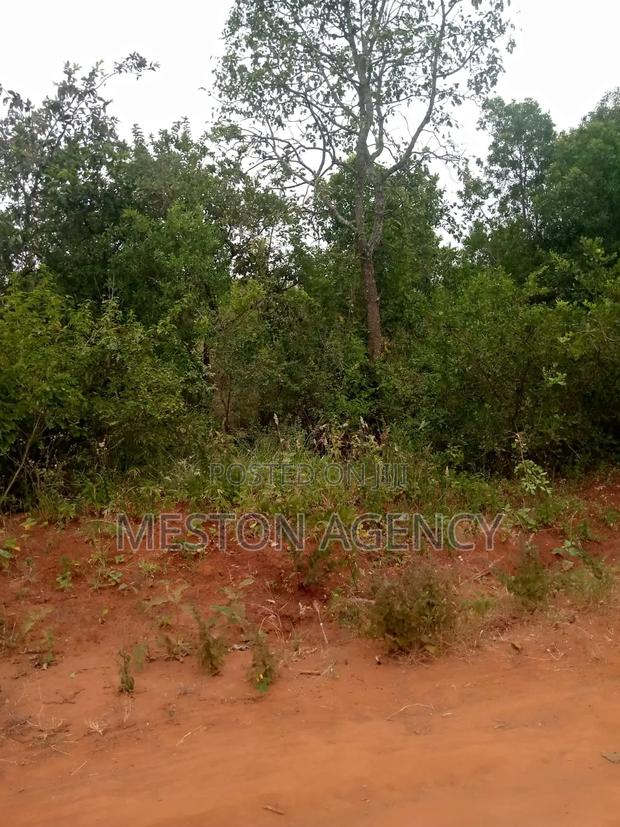 1/2 Acre at Embu Kanyariri Quick Sale - thumbnail 2