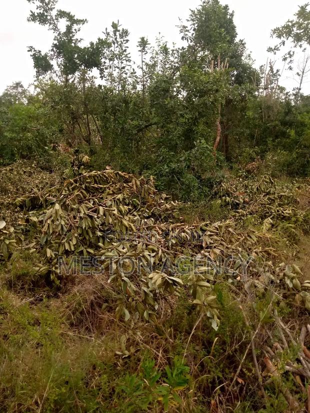 1/2 Acre at Embu Kanyariri Quick Sale - thumbnail 3