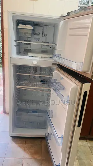 Von Fridge