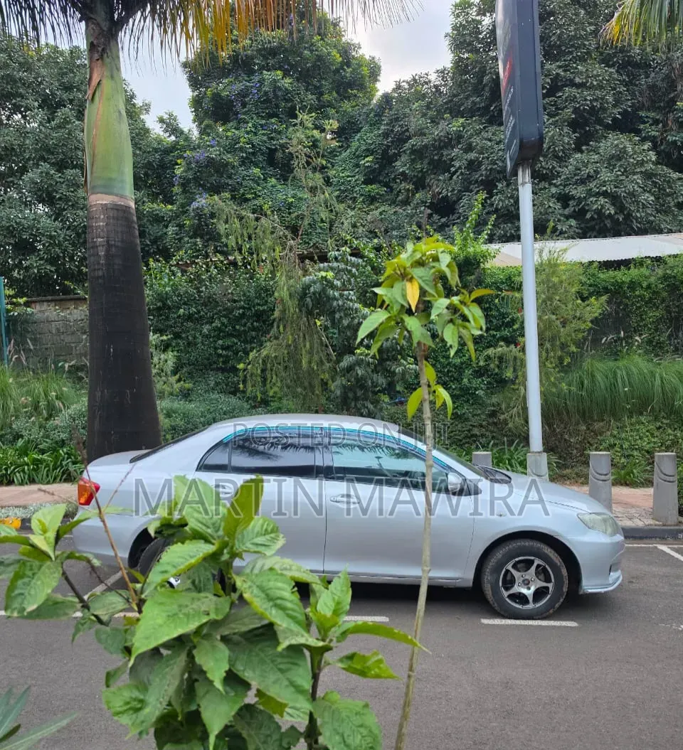 Toyota Axio 2008 Silver
