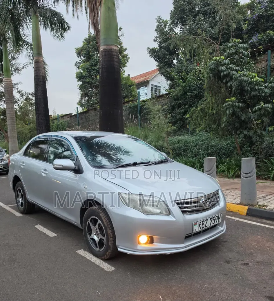 Toyota Axio 2008 Silver