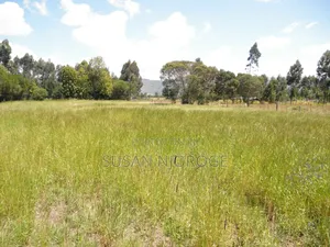 Three Acres of Land in Nyandarua/Kirima, Shamata Area, Accessible Road