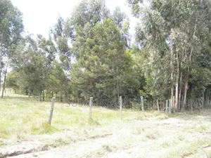 Three Acres of Land in Nyandarua/Kirima, Shamata Area, Accessible Road