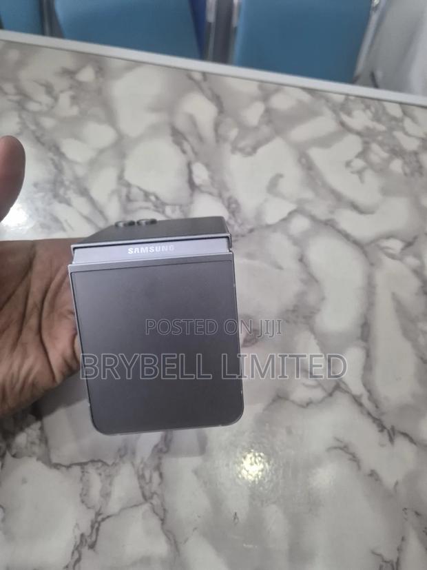 Samsung Galaxy Z Flip6 256 GB Gray - thumbnail 9