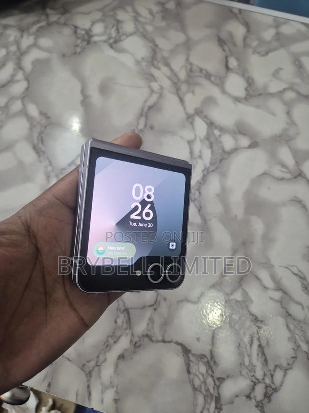 Samsung Galaxy Z Flip6 256 GB Gray
