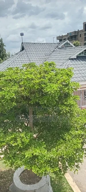 3bdrm House in Kiamunyeki, Kiratina for sale