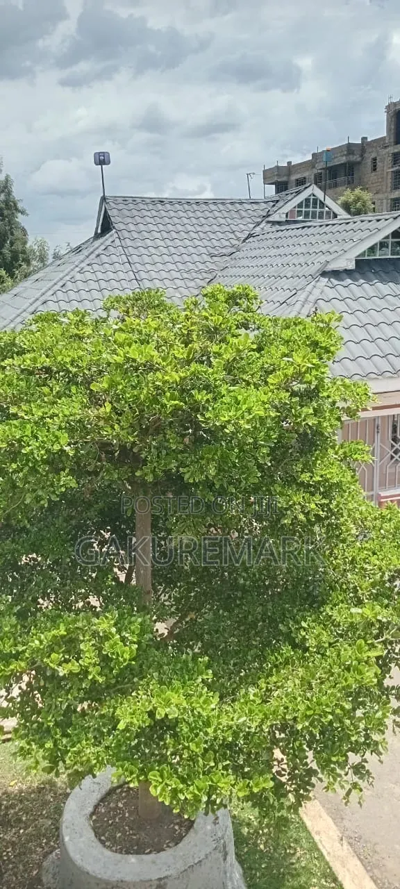 3bdrm House in Kiamunyeki, Kiratina for sale