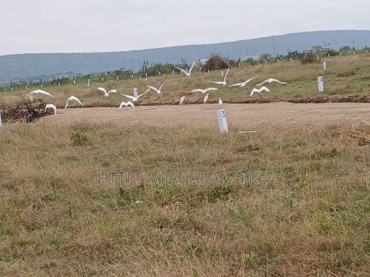 Beverly Court Plots for Sale in Kinanie^Bw