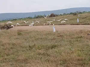 Beverly Court Plots for Sale in Kinanie^Bw