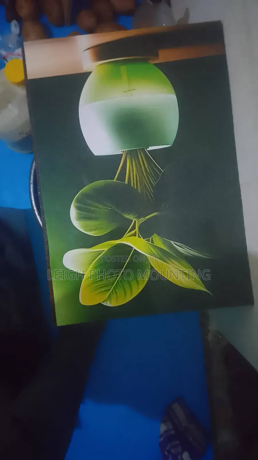 Photo Mounting