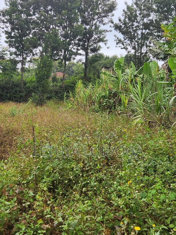 1⁄8 Acre Plots Kerarapon - thumbnail 2