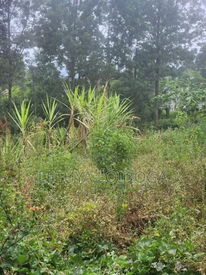 1⁄8 Acre Plots Kerarapon