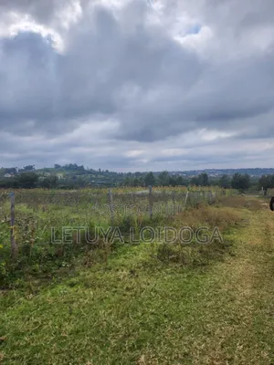 Affordable Plots Ngong-Kiserian